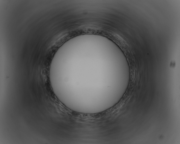 X0000096700774200802121202