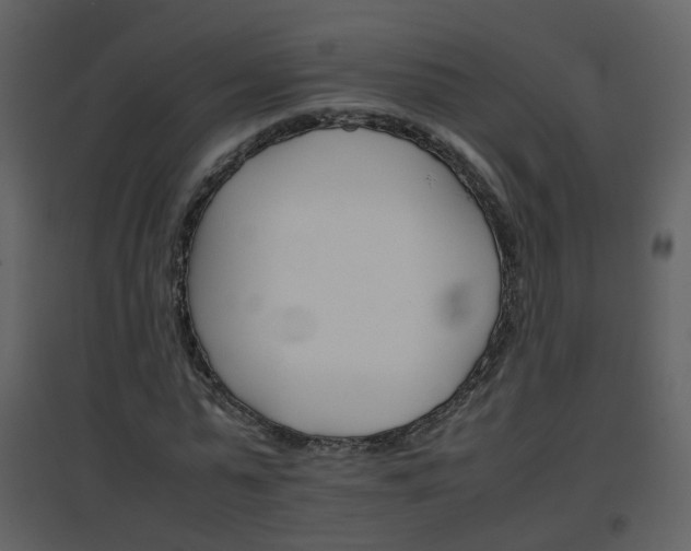 X0000096700775200802121202
