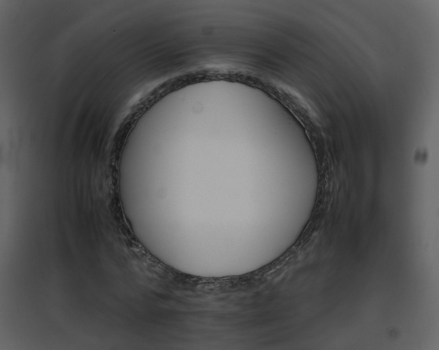 X0000096700776200802121202
