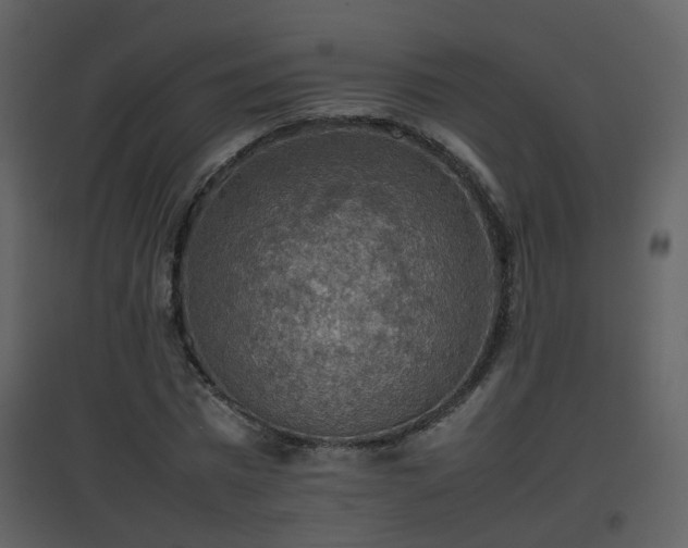 X0000096700777200802121202