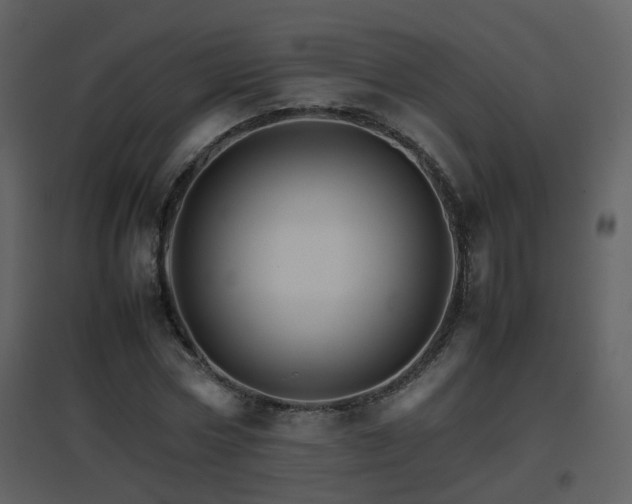 X0000096700778200802121202