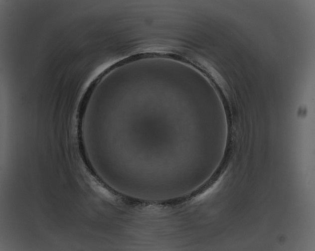 X0000096700779200802121202