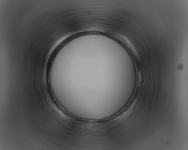 X0000096700780200802121202