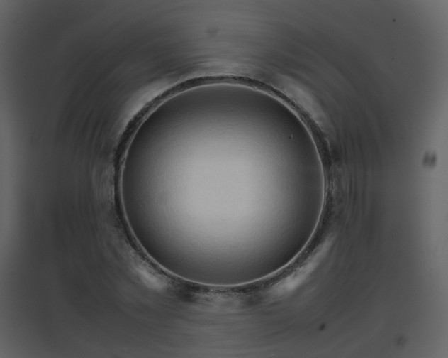 X0000096700781200802121202