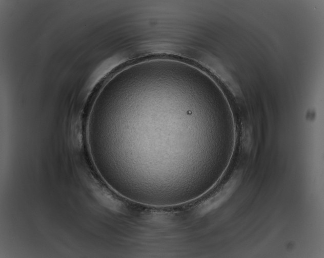 X0000096700782200802121202