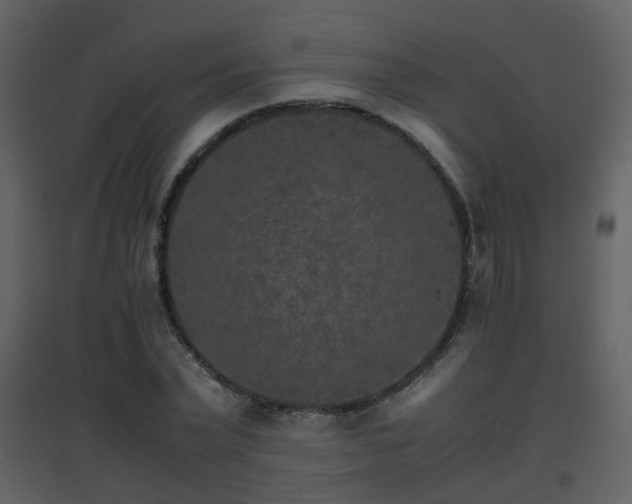 X0000096700783200802121202