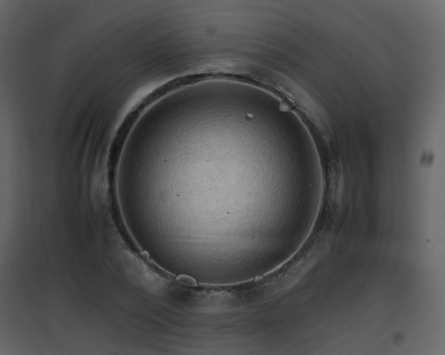 X0000096700784200802121202