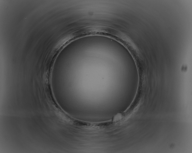 X0000096700785200802121202