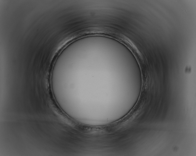 X0000096700786200802121202