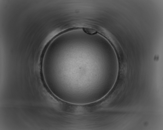 X0000096700787200802121202