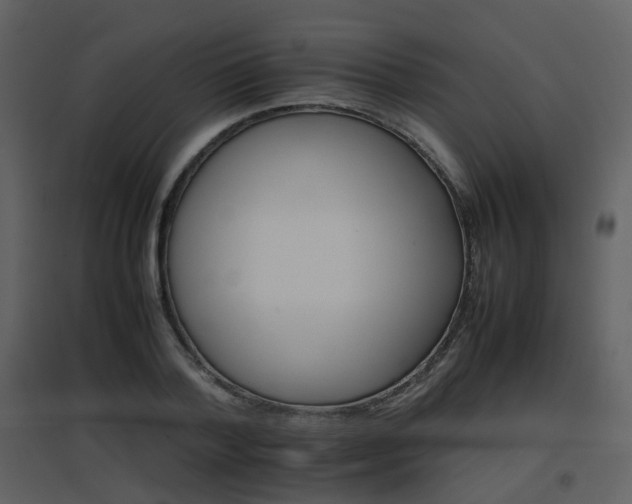 X0000096700788200802121202