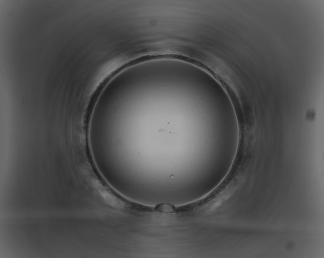 X0000096700789200802121202