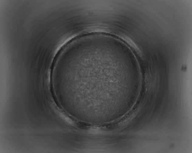X0000096700790200802121202