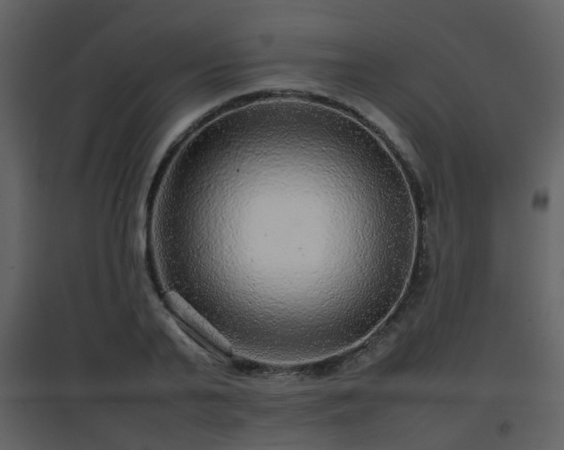 X0000096700791200802121202