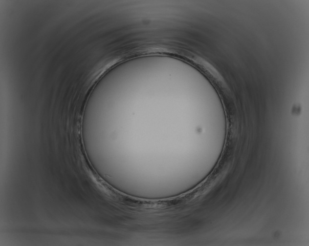 X0000096700793200802121202