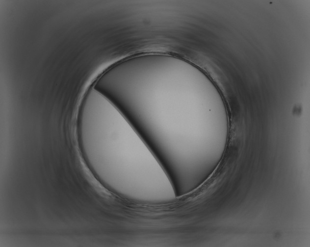 X0000096700795200802121201