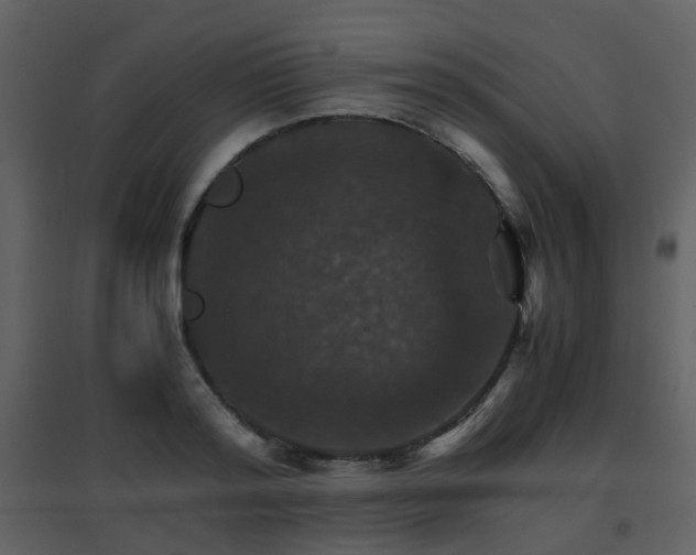 X0000096700796200802121201