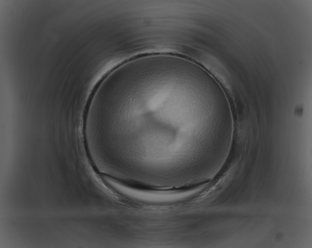 X0000096700797200802121201