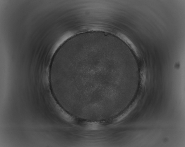 X0000096700798200802121201