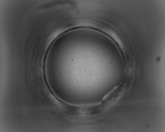X0000096700799200802121201