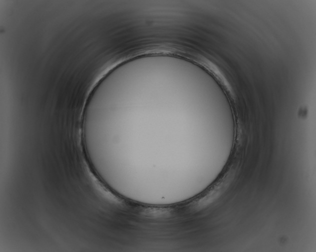 X0000096700802200802121201