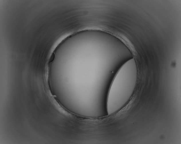 X0000096700804200802121201