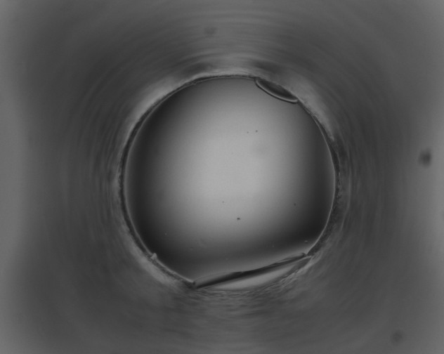 X0000096700805200802121201