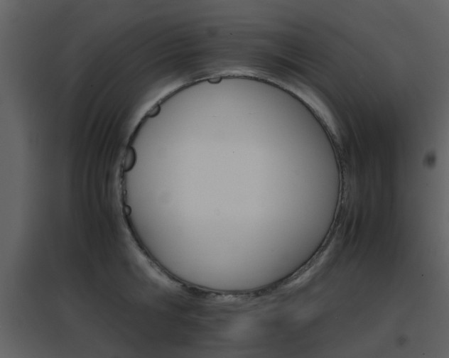 X0000096700806200802121201