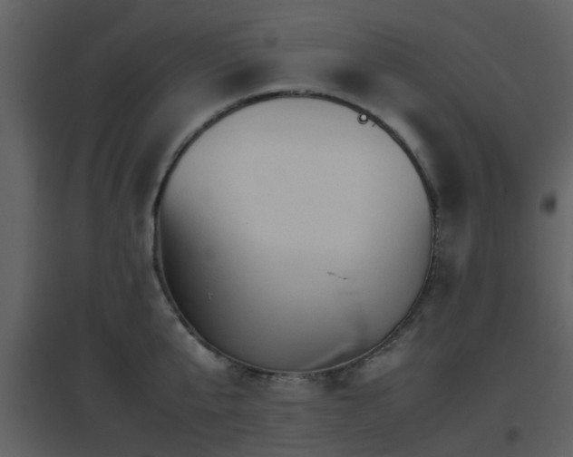 X0000096700807200802121201