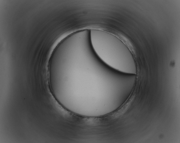 X0000096700808200802121201