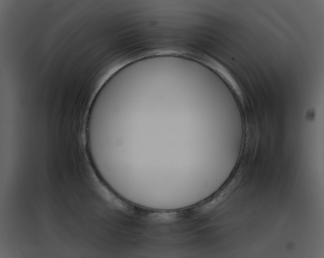 X0000096700810200802121201