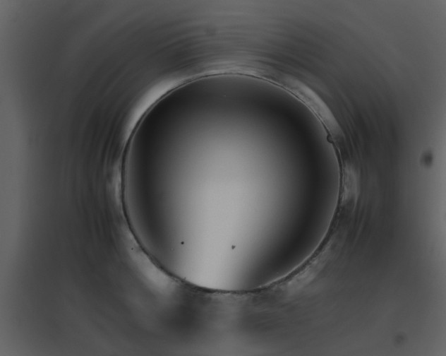 X0000096700812200802121201