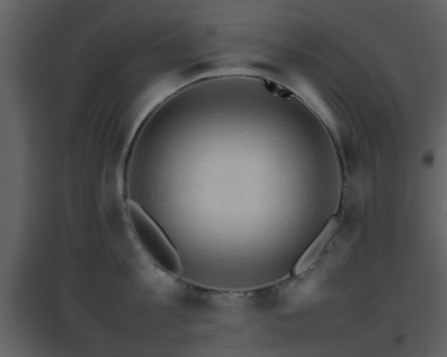 X0000096700813200802121201