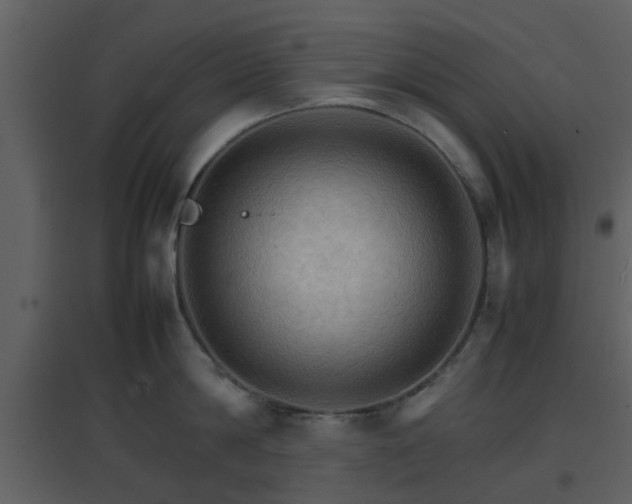 X0000096700814200802121201