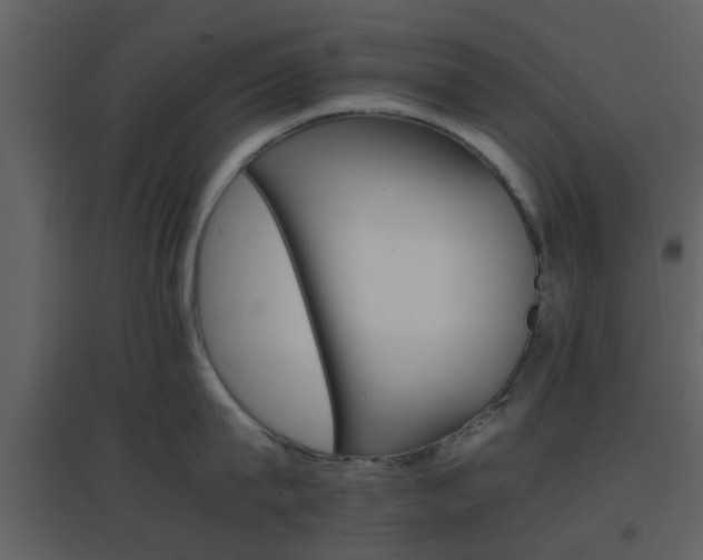 X0000096700815200802121201