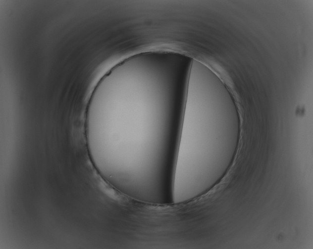 X0000096700816200802121201