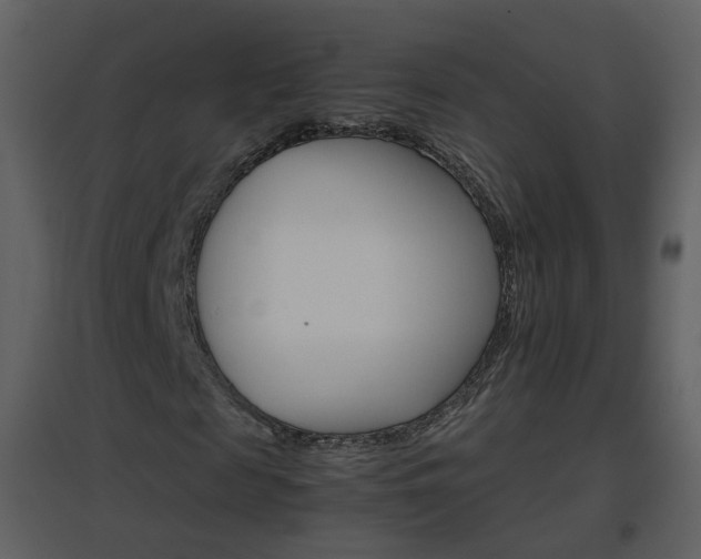 X0000096700817200802121200