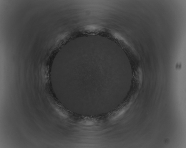 X0000096700818200802121201