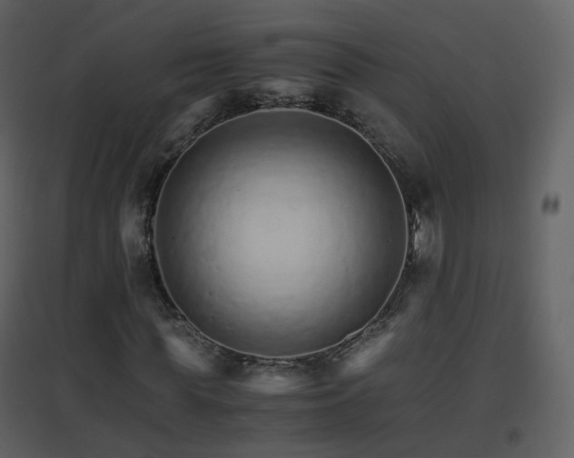 X0000096700819200802121201