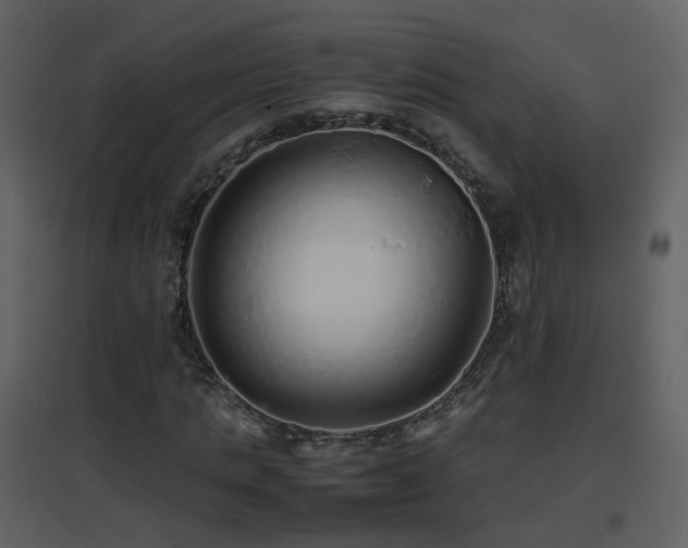 X0000096700821200802121201