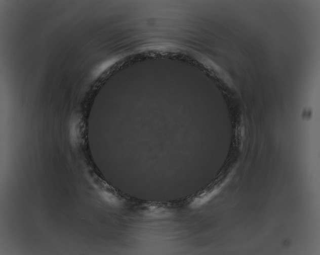 X0000096700822200802121201