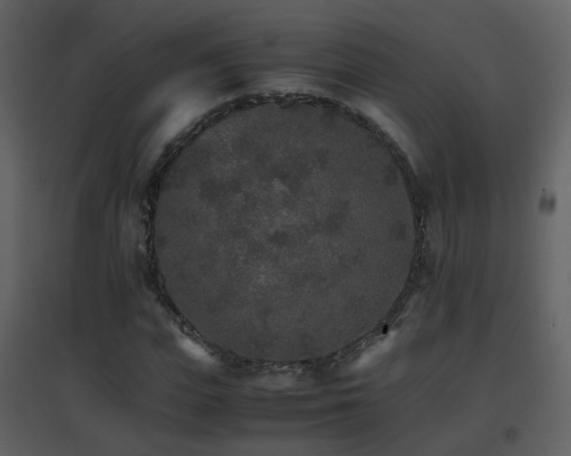 X0000096700823200802121201