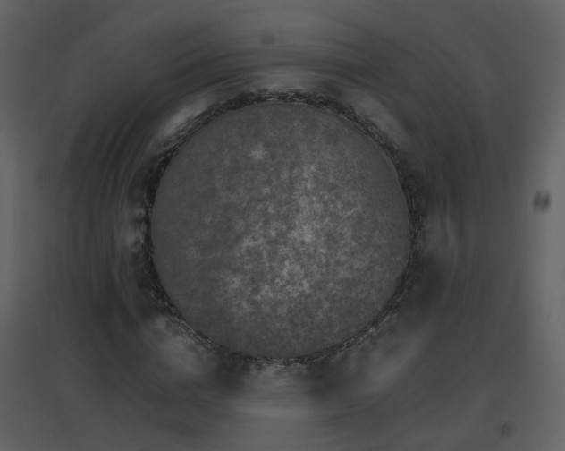 X0000096700824200802121201
