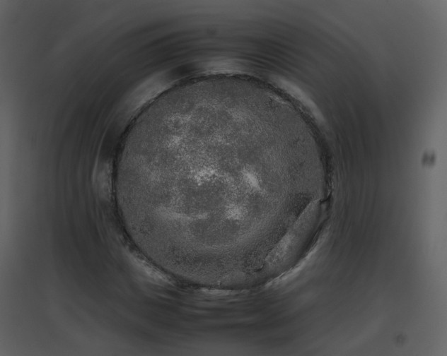 X0000096700825200802121201