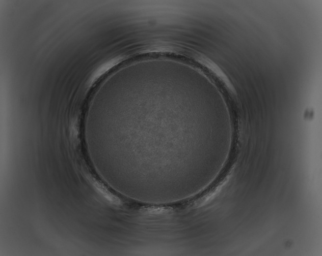 X0000096700826200802121201