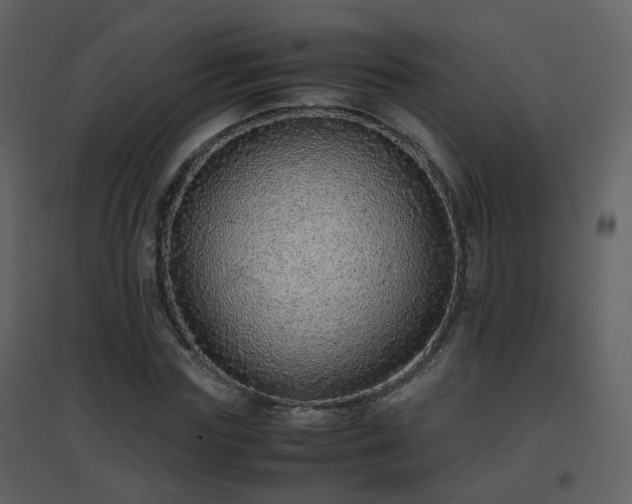 X0000096700827200802121201