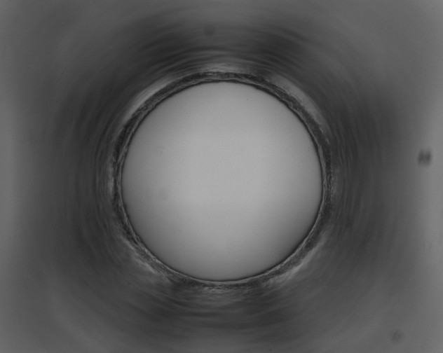 X0000096700829200802121201