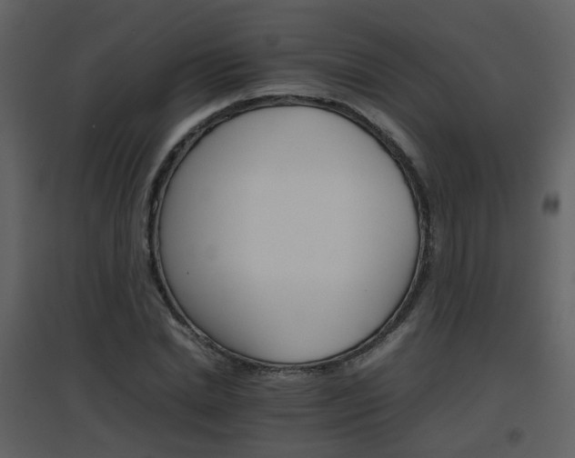 X0000096700830200802121201