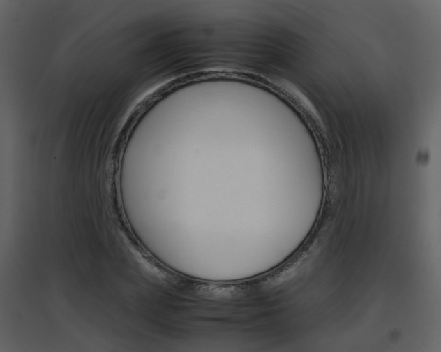 X0000096700831200802121201