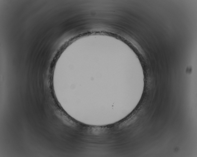 X0000096700832200802121201